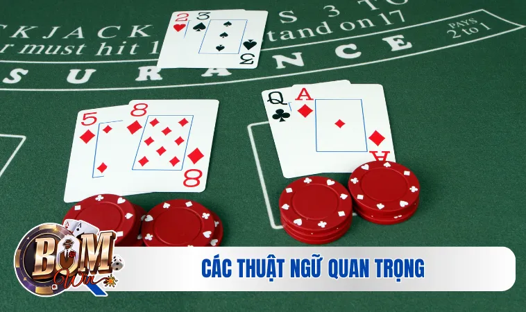 Các thuật ngữ quan trọng