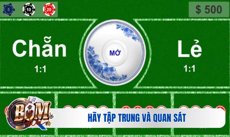 Hãy tập trung và quan sát