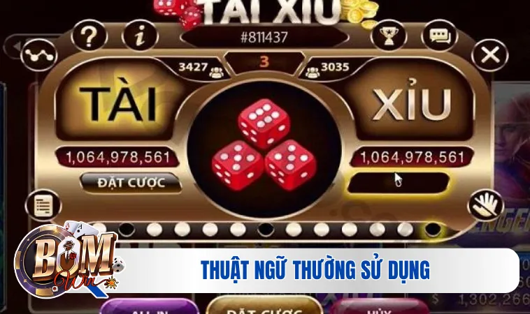 Thuật ngữ thường sử dụng