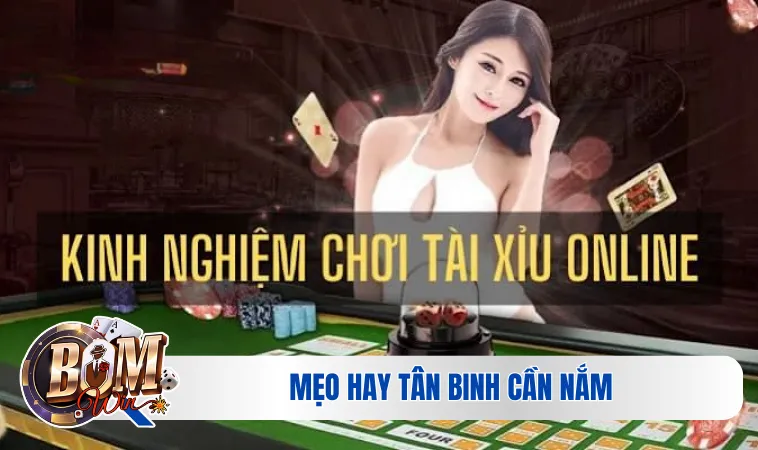 Cách Chơi Tài Xỉu | Tất Tần Tật Nội Dung Tân Binh Cần Nắm 4 Mẹo hay tân binh cần nắm