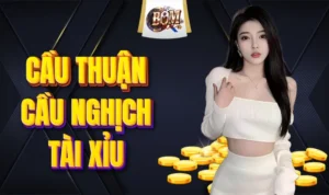 Cầu Thuận Cầu Nghịch Tài Xỉu Là Gì - Sân Chơi Hấp Dẫn