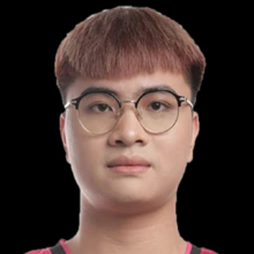 avatar tac gia nper tran dinh tuan